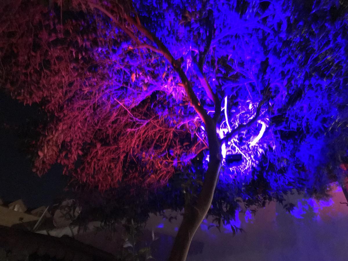 Kemer Manastir Hotel מראה חיצוני תמונה